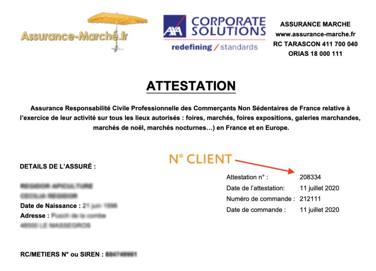 découvrez les obligations d'assurance pour les auto-entrepreneurs : protégez votre activité et sécurisez vos biens avec les garanties adaptées afin de respecter la législation et de faire face aux imprévus.