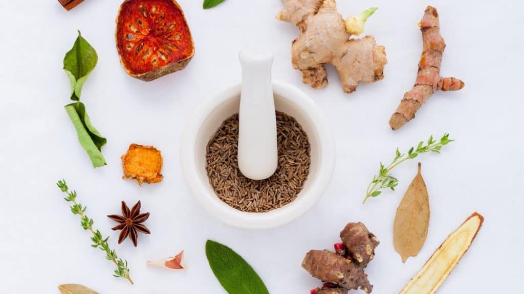 bénéficiez d'une protection optimale avec notre assurance dédiée aux naturopathes. protégez votre pratique et vos clients tout en vous concentrant sur le bien-être naturel.